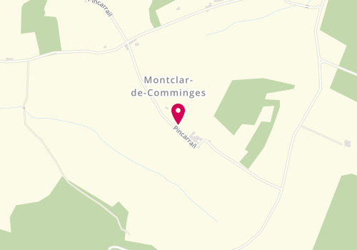 Plan de Lafon Marie-Francoise, Chemin Pincarail, 31220 Montclar-de-Comminges