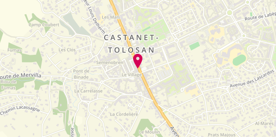 Plan de Diloy's, 2 Ter avenue de Toulouse, 31320 Castanet-Tolosan