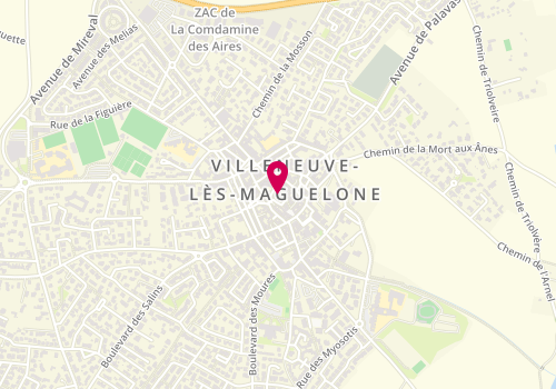 Plan de Cote Homme, 110 Grand Rue, 34750 Villeneuve-lès-Maguelone
