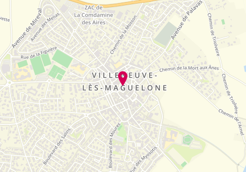 Plan de The 21 Elegance, 110 Grand Rue, 34750 Villeneuve-lès-Maguelone