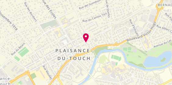 Plan de Diloy's, 58 Bis avenue des Pyrénées, 31830 Plaisance-du-Touch