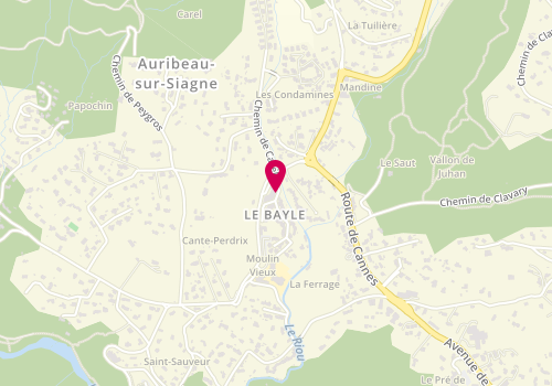 Plan de Domiange, 62 Rue Jean Giono, 06810 Auribeau-sur-Siagne