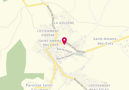 Plan de FABRE Florine, Dhuparlac Route Laguiole, 12460 Saint-Amans-des-Cots