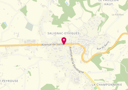 Plan de Carole Coiffure, 14 avenue de Sarlat, 24590 Salignac-Eyvigues
