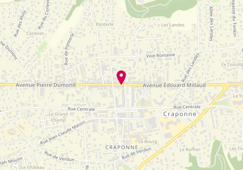 Plan de David'R, 103 avenue Edouard Millaud, 69290 Craponne