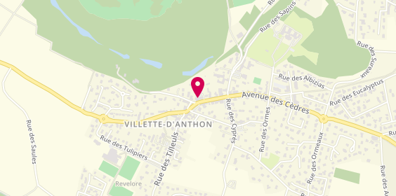 Plan de Brush et Co, 113 avenue des Cèdres, 38280 Villette-d'Anthon
