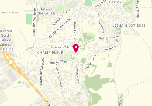 Plan de CHAMPOUX Véronique, 449 Rue Perron, 69730 Genay