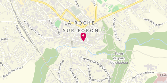 Plan de Le Salon Ls, 121 Rue Perrine, 74800 La Roche-sur-Foron