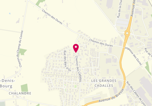 Plan de RANDU Frédérique, 1369 Chemin Cadalles, 01000 Saint-Denis-lès-Bourg