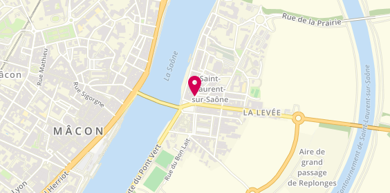 Plan de Cheveux d'Or, 56 Rue de la Levée, 01750 Saint-Laurent-sur-Saône