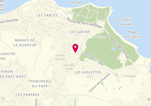 Plan de Le P'tit Salon de Séverine, 206 Route des Sapins, 85350 L'Île-d'Yeu