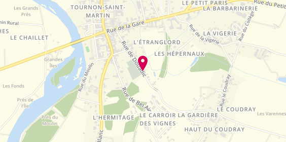 Plan de CHEDOZEAU Lydie, 23 Route de Douadic, 36220 Tournon-Saint-Martin