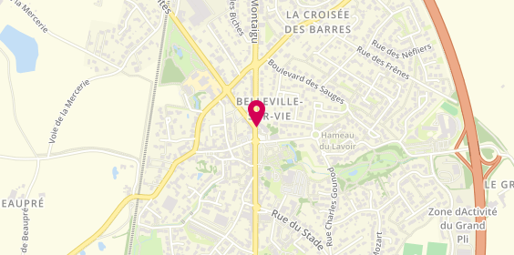 Plan de Carré Pointu, Zone Atlant&#039;Vie, 85170 Belleville-sur-Vie