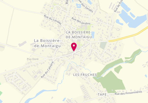 Plan de P'tit Bout de Mèches, 29 Rue Centrale, 85600 La Boissière-de-Montaigu
