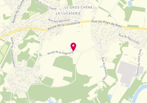 Plan de Domic Il et Elle, Route Gagnerie, 44860 Saint Aignan De Grand Lieu