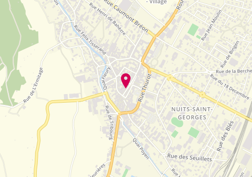 Plan de Profeel, 14 Grande Rue, 21700 Nuits-Saint-Georges