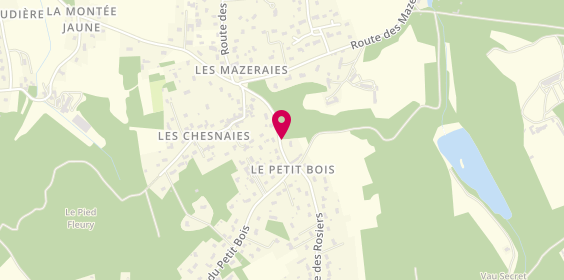 Plan de COUTURIER Valérie, 90 Route Petit Bois, 37510 Savonnières