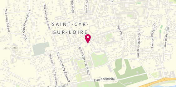Plan de Joel Sicard Les Inédits, 62 Rue Victor Hugo, 37540 Saint-Cyr-sur-Loire