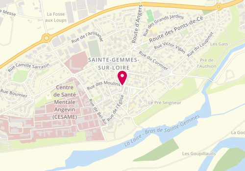 Plan de FB Coiffure, 8 Bis Rue Moulins, 49130 Sainte-Gemmes-sur-Loire