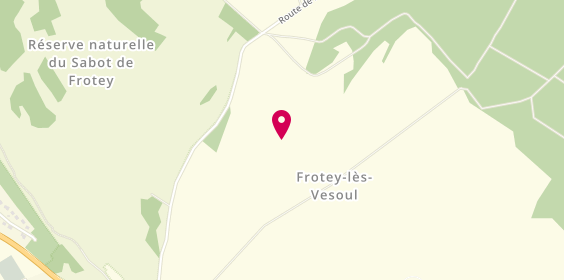 Plan de Instinctif, 8 Route de Luxeuil, 70000 Frotey-lès-Vesoul