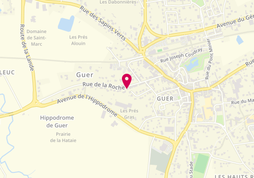 Plan de Ti Gwénola, 25 Rue de la Roche, 56380 Guer