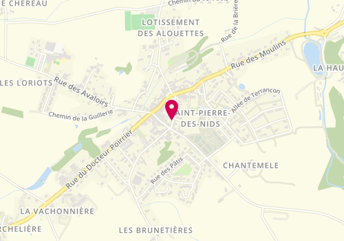 Plan de L'Esprit Tendance, 10 Rue Caillet, 53370 Saint-Pierre-des-Nids