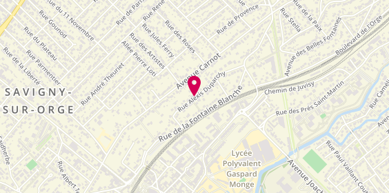 Plan de LAMOUREUX Christine, 19 Rue Alexis Duparchy, 91600 Savigny-sur-Orge