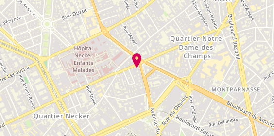 Plan de Francois Raphael, 113 Rue de Vaugirard, 75015 Paris