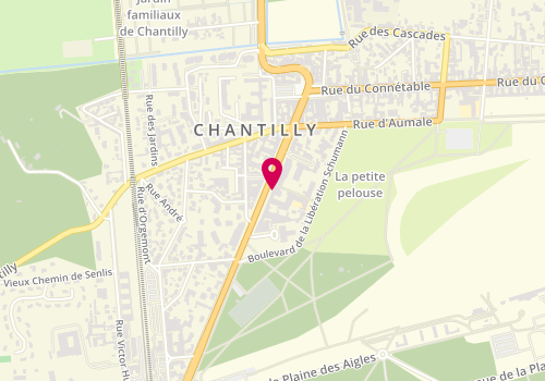 Plan de Lolycia, 19 avenue du Maréchal Joffre, 60500 Chantilly