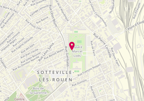 Plan de Dussaux LACQUEMENT Céline, 177 Rue Garibaldi, 76300 Sotteville-lès-Rouen